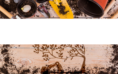 individuelle-anfragen